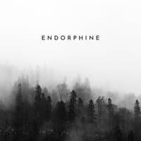 Endorphine