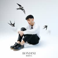 RONDINI