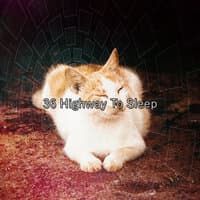 36 Highway To Sleep