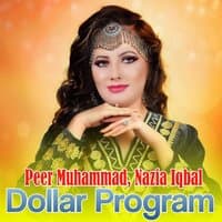 Dollar Program