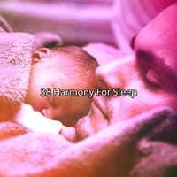 38 Harmony For Sleep