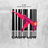 Cashflow