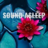 Sound Asleep: Small Garden Fish Pond Ambience 2