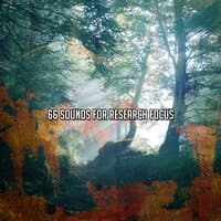 66 Sounds For Research Focus