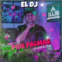 El Dj Pide Palmas