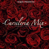 Cursilería Mix