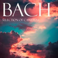 Bach Selection of Cantatas