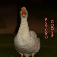 Psycho Goose