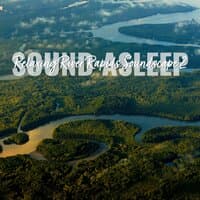 Sound Asleep: Relaxing River Rapids Soundscape 2