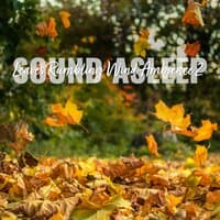 Sound Asleep: Leaves Rumbling Wind Ambience 2