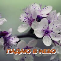 ПАДАЮ В НЕБО