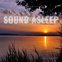 Sound Asleep: Scenic Swaying Reeds by the River