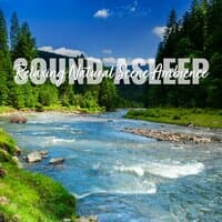 Sound Asleep: Relaxing Natural Scene Ambience