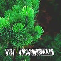 ТЫ ПОМНИШЬ