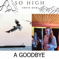 A Goodbye