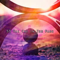 53 Tai Chi In The Park