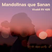 Mandolinas Que Sanan (Vivaldi, Rv 425)