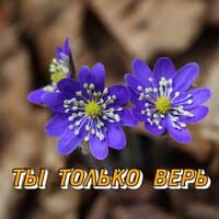 ТЫ ТОЛЬКО ВЕРЬ