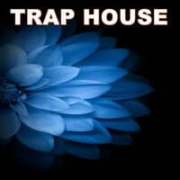 TRAP HOUSE