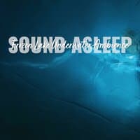 Sound Asleep: Frozen Lake Underwater Ambience