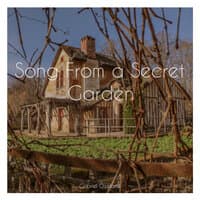 Song From a Secret Garden