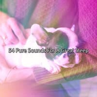 54 Pure Sounds For A Great Sleep