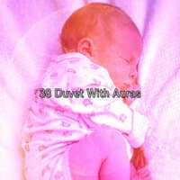 38 Duvet With Auras