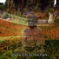 45 Tai Chi In The Park