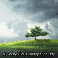 68 Sounds For A Therapeutic Day