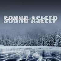 Sound Asleep: Distant Forest Wolves Howling Ambience 2