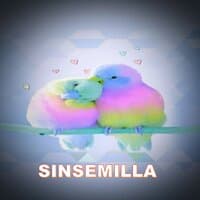 SINSEMILLA