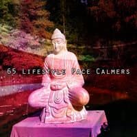 65 Lifestyle Pace Calmers