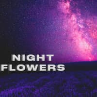 NIGHT FLOWERS