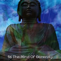 56 The Mind Of Serenity