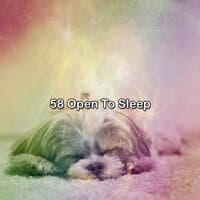 58 Open To Sleep