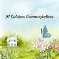 37 Outdoor Contemplations