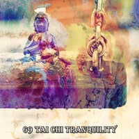 69 Tai Chi Tranquility