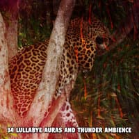 34 Lullabye Auras And Thunder Ambience