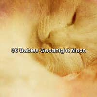 36 Babies Goodnight Moon