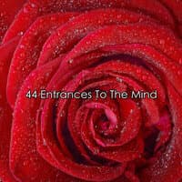 44 Entrances To The Mind