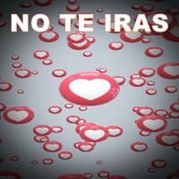 NO TE IRAS