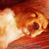 33 Bring Sleep Into Fruition