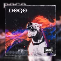 Dogo