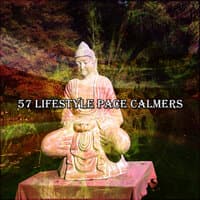 57 Lifestyle Pace Calmers