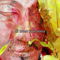 43 Invert Your Stress