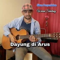 Dayung di arus