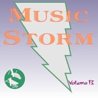 Music Storm, Vol. 13