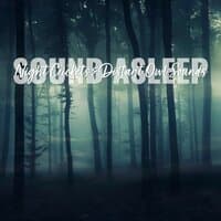 Sound Asleep: Night Crickets & Distant Owl Sounds