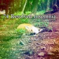 74 Resolved Insomnia