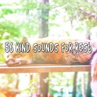 56 Kind Sounds For Rest